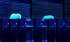 Eadweard Digital #02 ©Tristan Rain Prolitteris